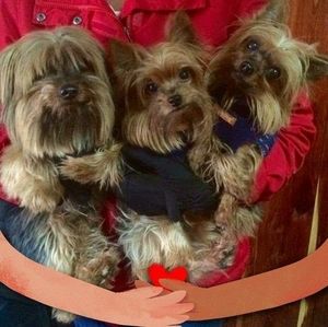 Meet your Posher, Martha